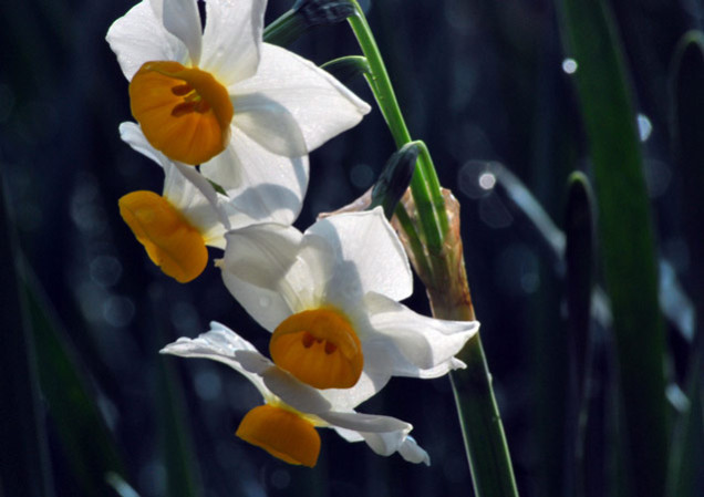 澤畠　雨上がり